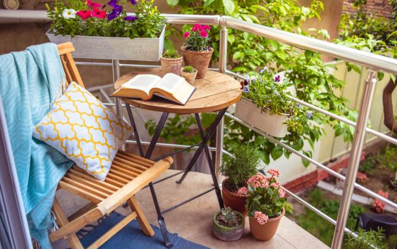 Kwiaty balkonowe – jakie rośliny na zacienione, a jakie na nasłonecznione balkony