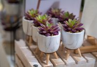 Jesienny czas na nowe wnętrza! Odkryj najnowsze trendy wnętrzarskie w Złotych Tarasach