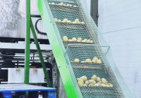 Taśmociąg i linia produkcyjna. Ja zapewnić sterowanie Taśmociąg i linia produkcyjna. Ja zapewnić sterowanie