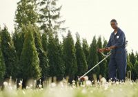 Czym się kierować przy wyborze kosiarki? Czym się kierować przy wyborze kosiarki?