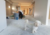 Naturalne surowce budowlane – jakie warto wybrać?