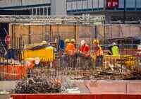 Mikropale – charakterystyka i zastosowania Mikropale – charakterystyka i zastosowania