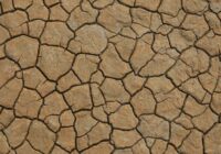 Jakie badania gruntu warto wykonać przed budową domu?