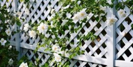 Jak metalowe panele ażurowe wpływają na estetykę i prywatność w ogrodzie?